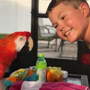 Meet your Posher, Kevin